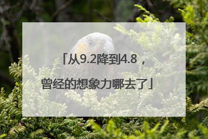 从9.2降到4.8，曾经的想象力哪去了